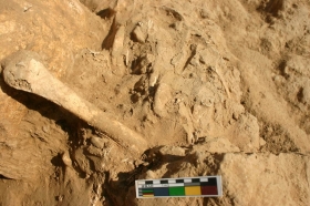 New Protohistoric cemeteries excavations
