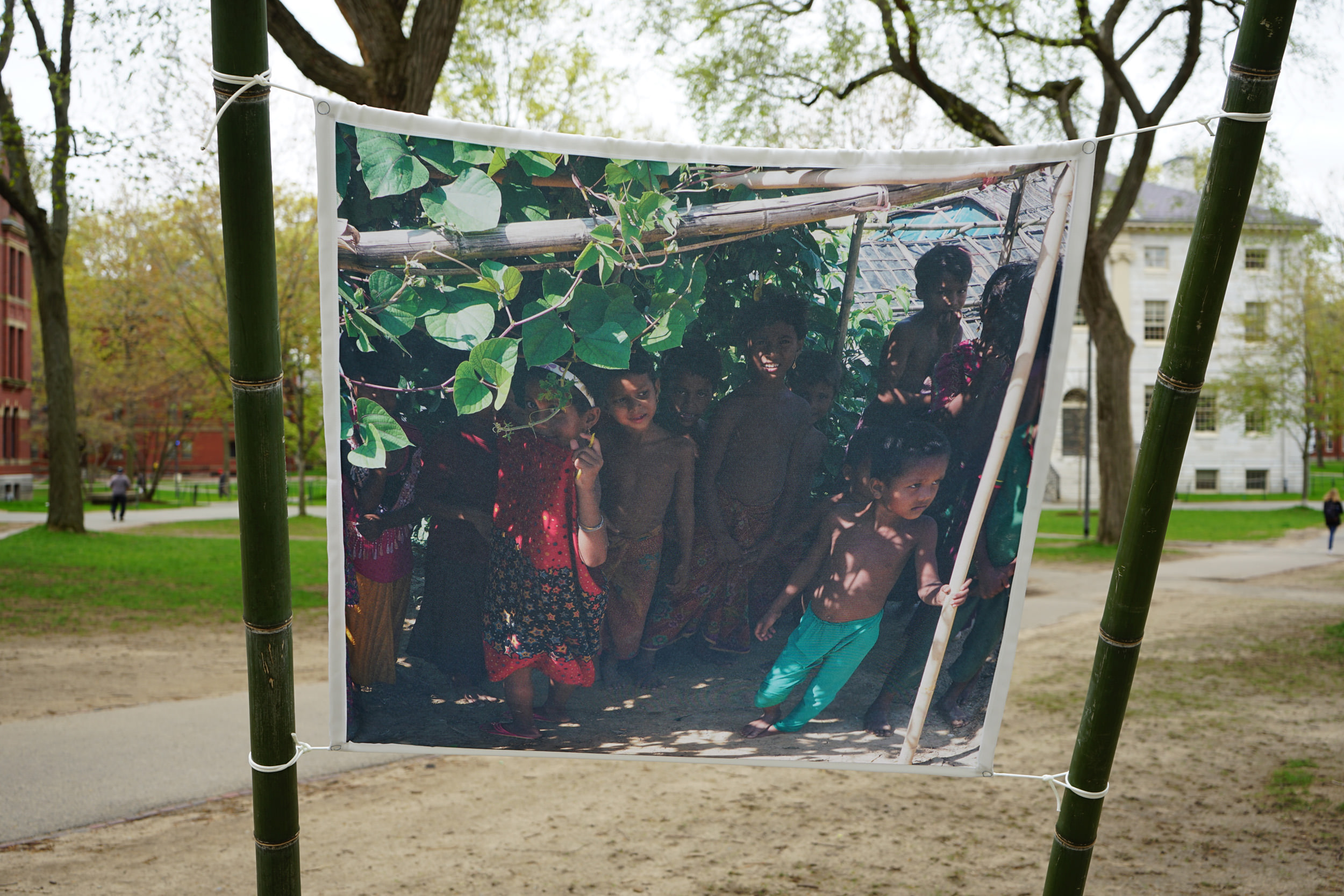 One of the shades in the Living Form installation on Harvard Yard with an image printed on it of children in front of the refugee camp.