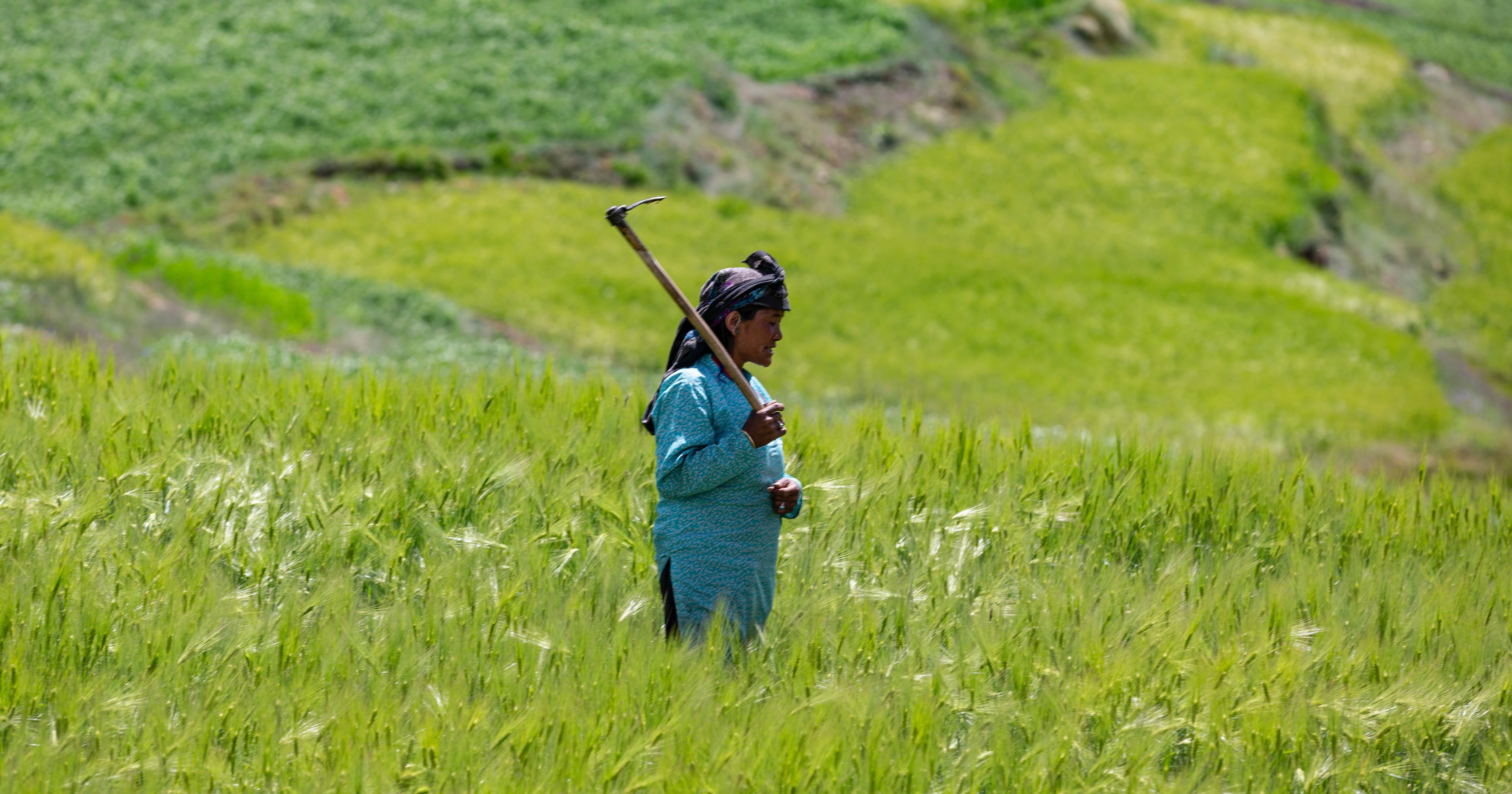 A farmer in Komic, India. Photo by Marc Hastenteufel.