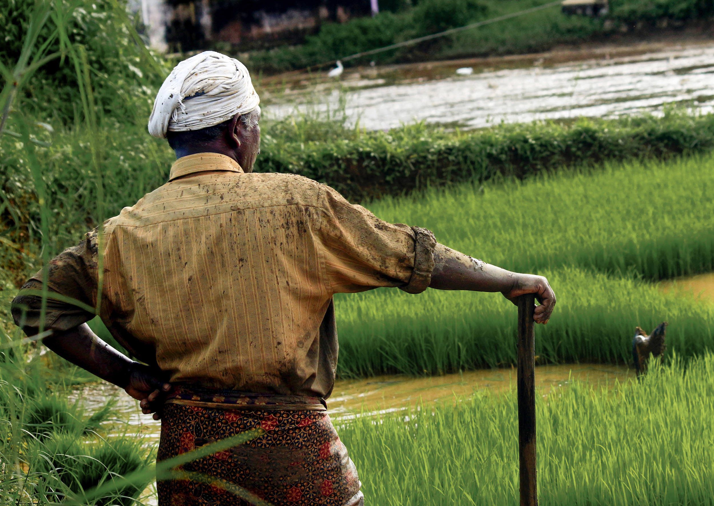 A farmer in India. Photo by Nandhu Kumar.