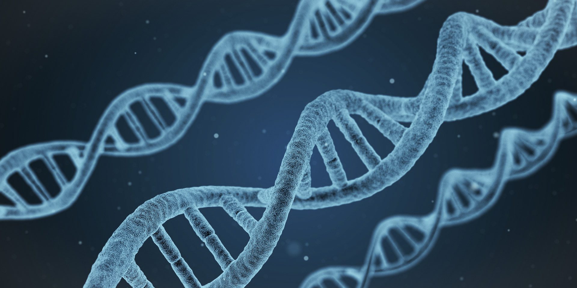 dna-1811955_1920-2 copy