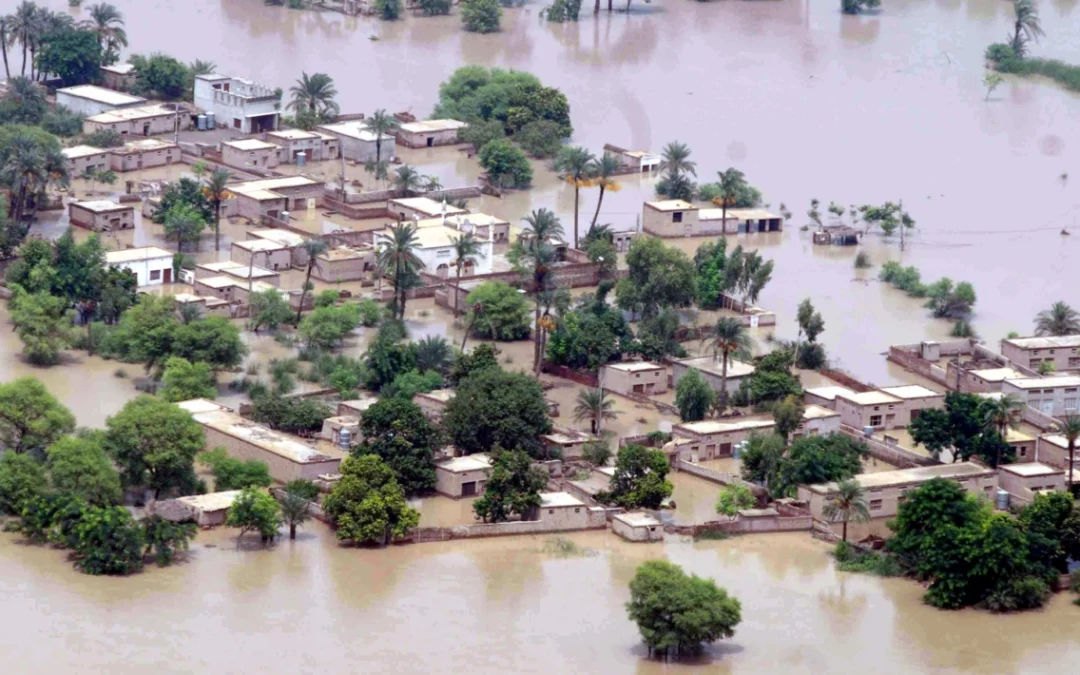 Pakistan Flooding Relief Fundraiser
