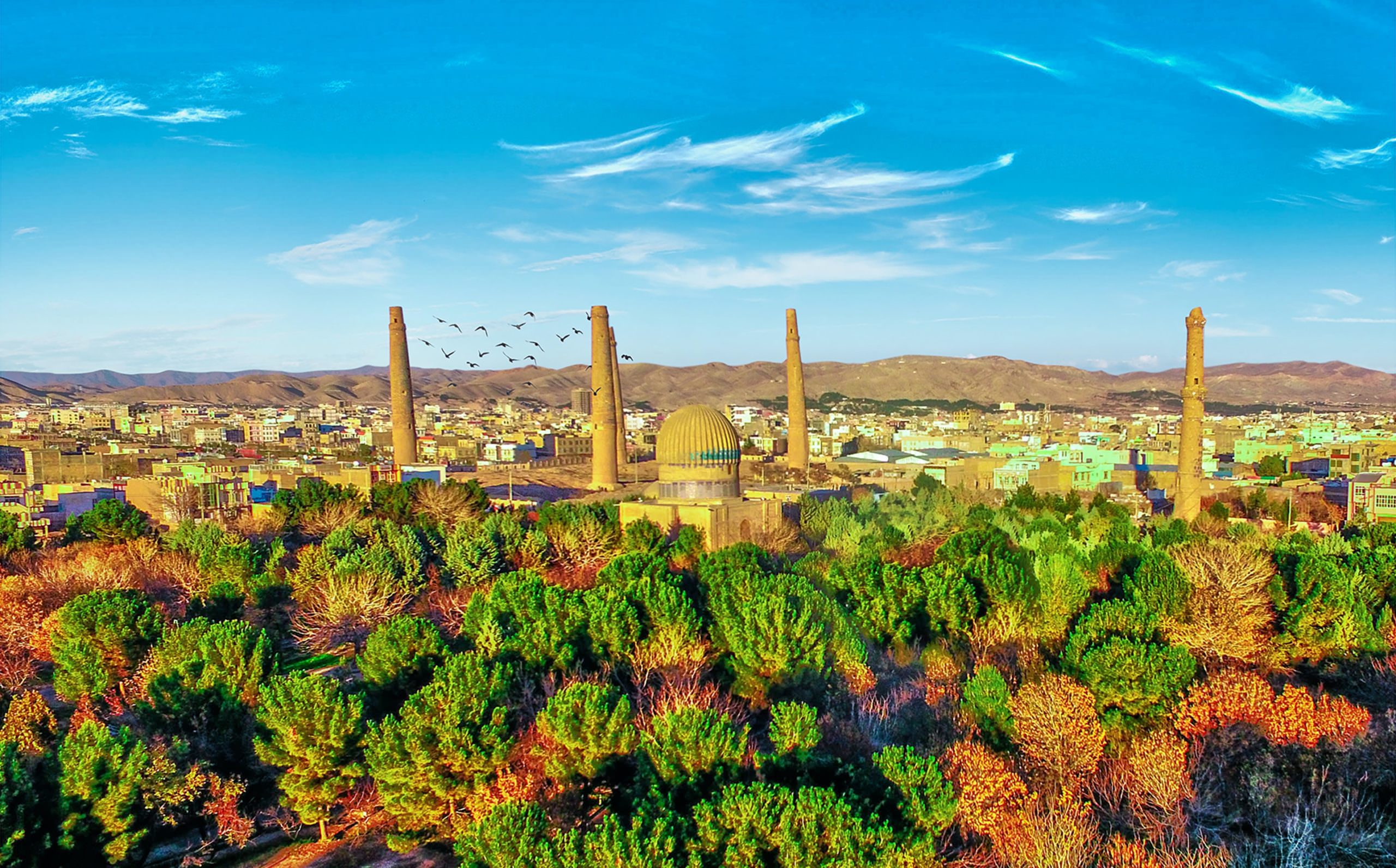 ali-mosavi--8YlvdyTjPM-unsplash