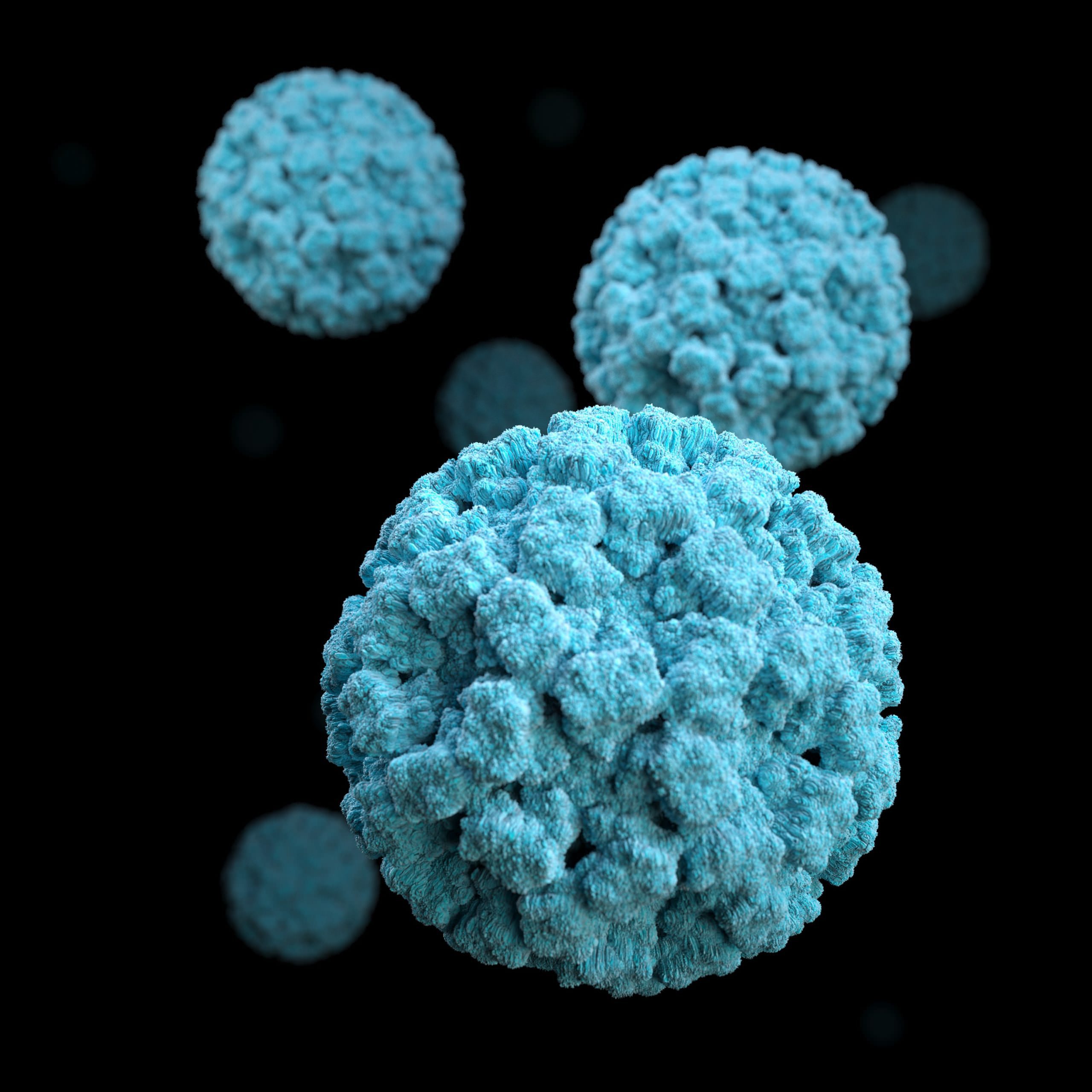 cdc-mSfnuqwcQ-Q-unsplash