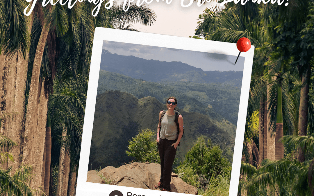 To Harvard, With Love: Postcards from Abroad