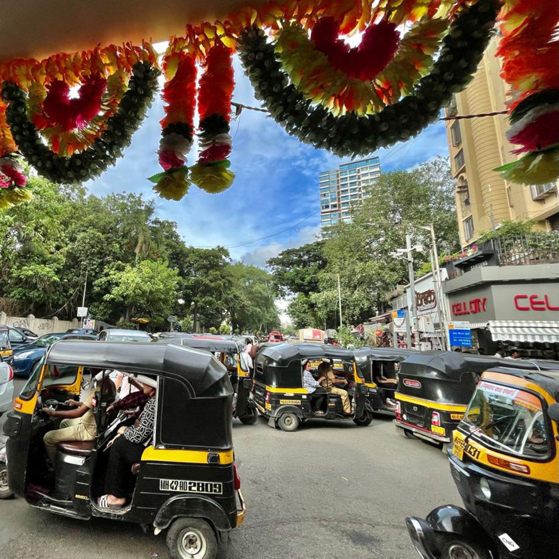 india