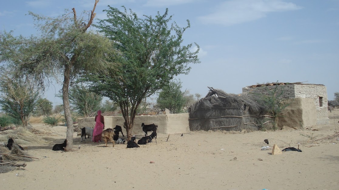 informal migrant settlement, Mohangarh, Jaisalmer, Rajasthan