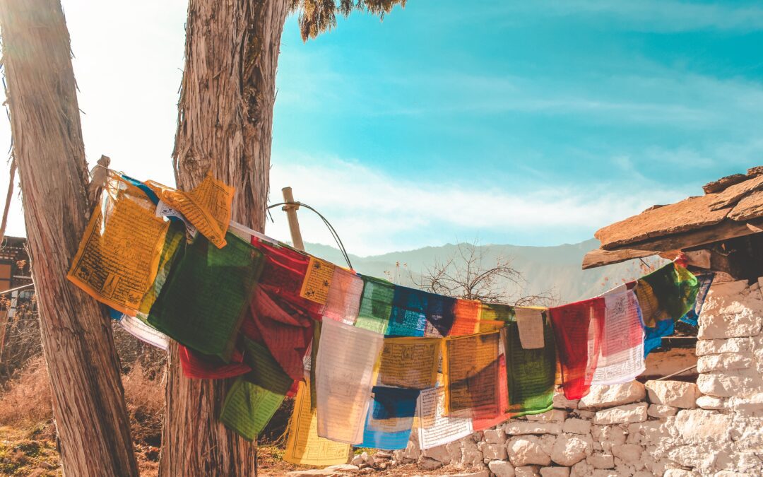 From a Changing Climate to Advancing Human Rights, a Look Back at LMSAI’s Top Events of 2023