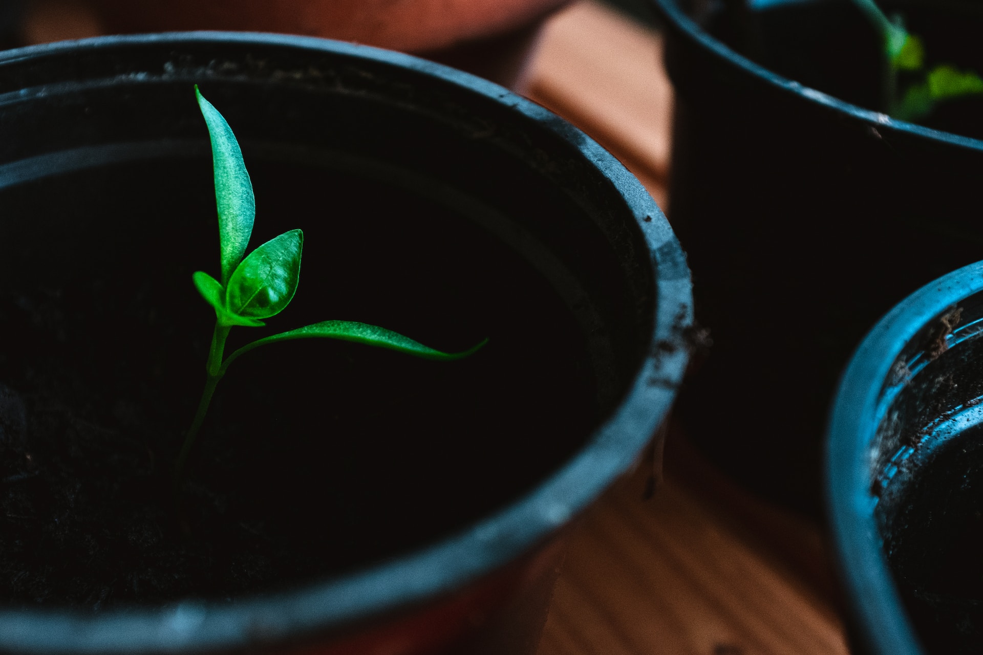 thomas-peham-WCFQfysyi3g-unsplash