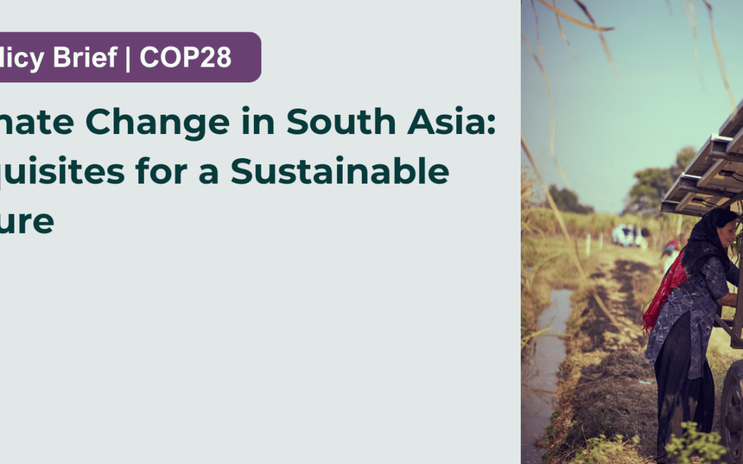 Policy Brief: Climate Change in South Asia: Requisites for a Sustainable Future