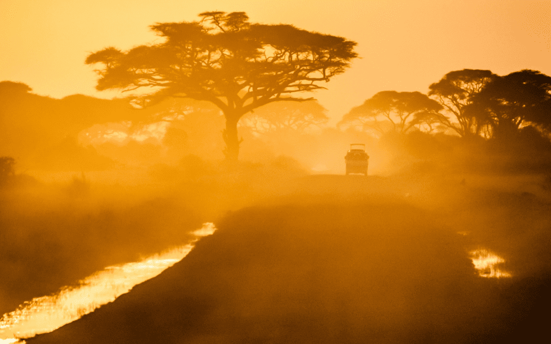 Academic Year Look Back: Climate Digest
