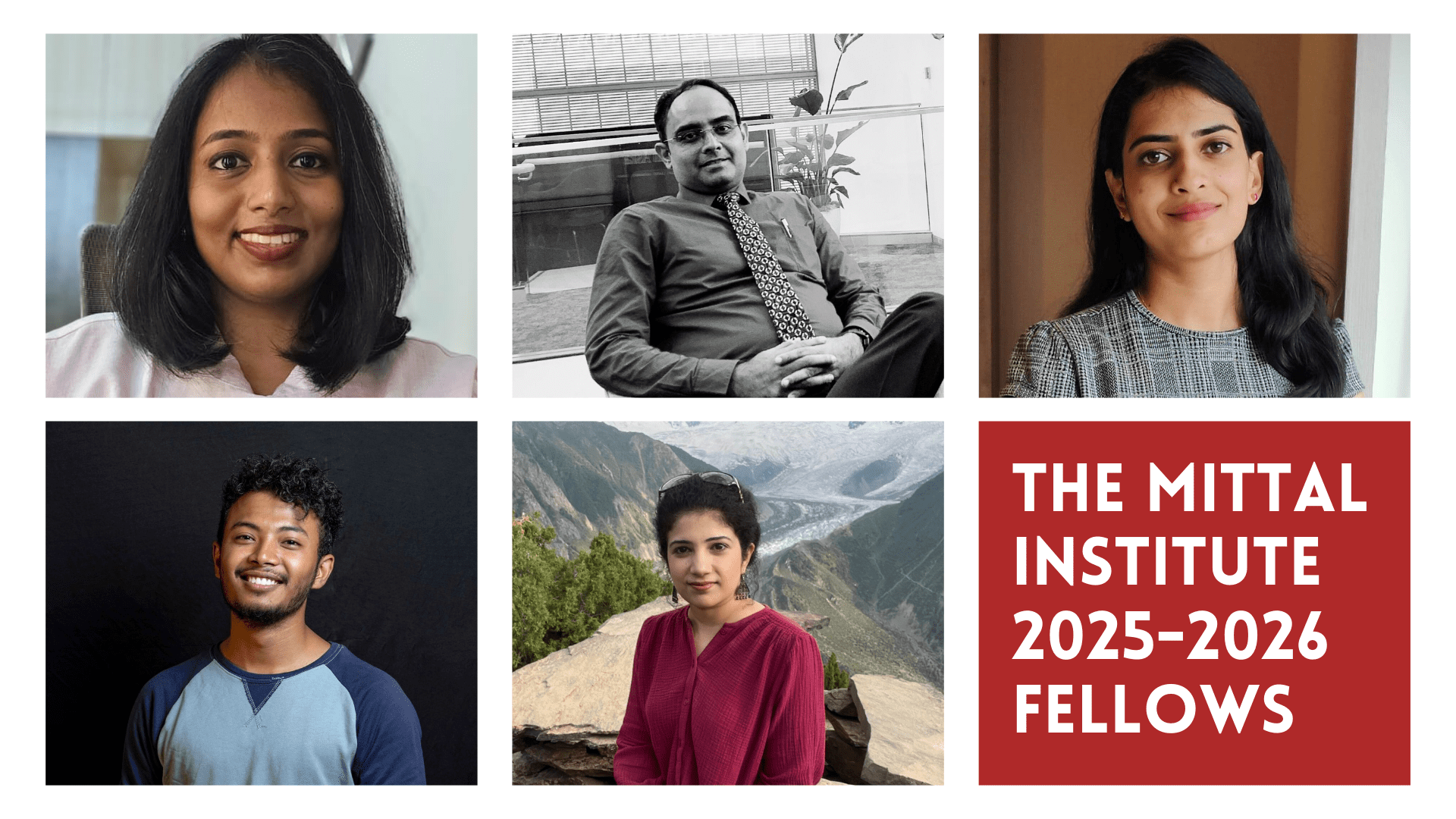 Spring Fellows 2025