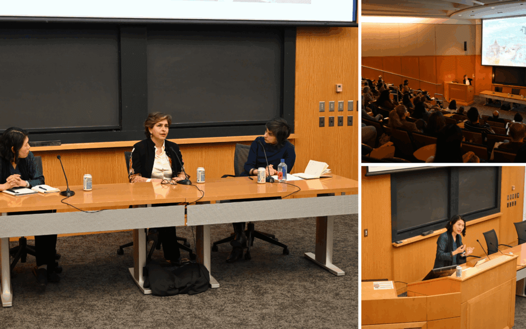 Land, Body, Memory: A Public Lecture by Distinguished Artist Fellow Naiza Khan