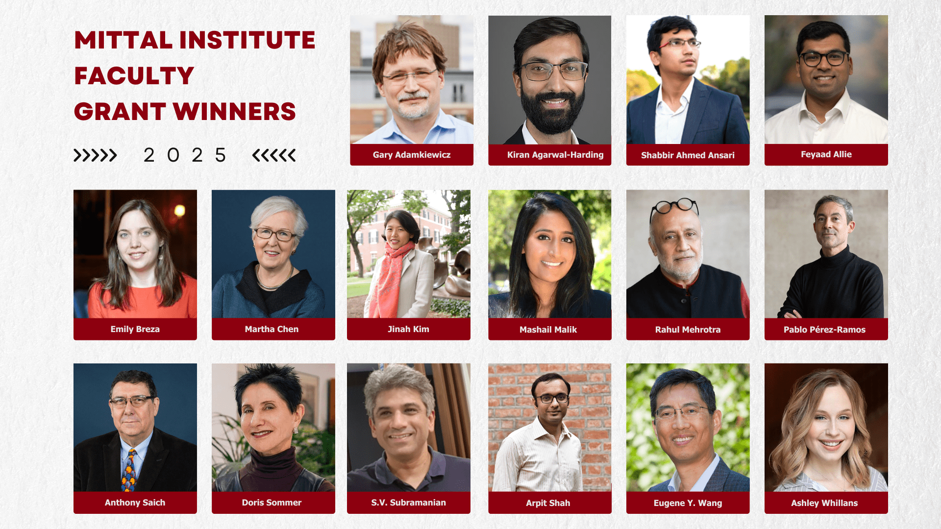 People Collages LMSAI Faculty Research Grant Recipients (clockwise, left to right): Adaner Usmani, Andrea Wright, Aravinthan Samuel, Gary Adamkiewicz, Gautam Nair, Holly Samuelson, Martha Chen, Pawan Sinha, Rahul Mehrotra, Susan Crawford, Vishal Khandelwal.