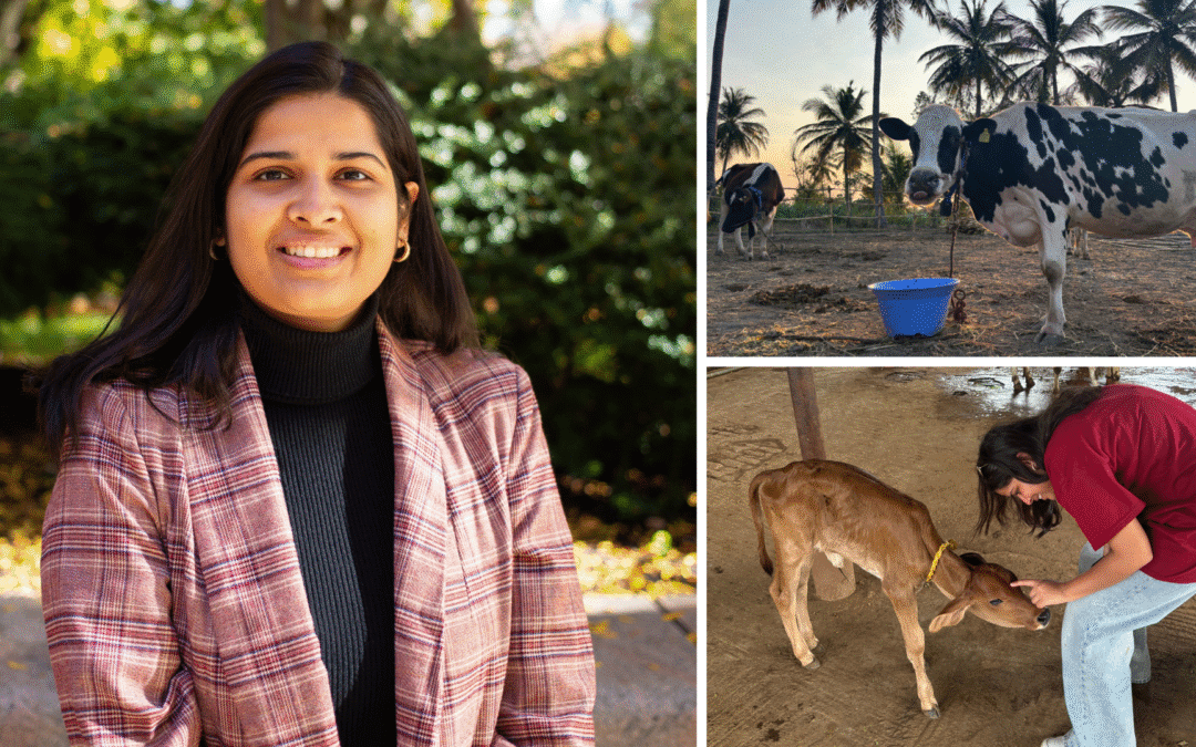 The Mittal Institute’s 2025 Seed for Change Winners