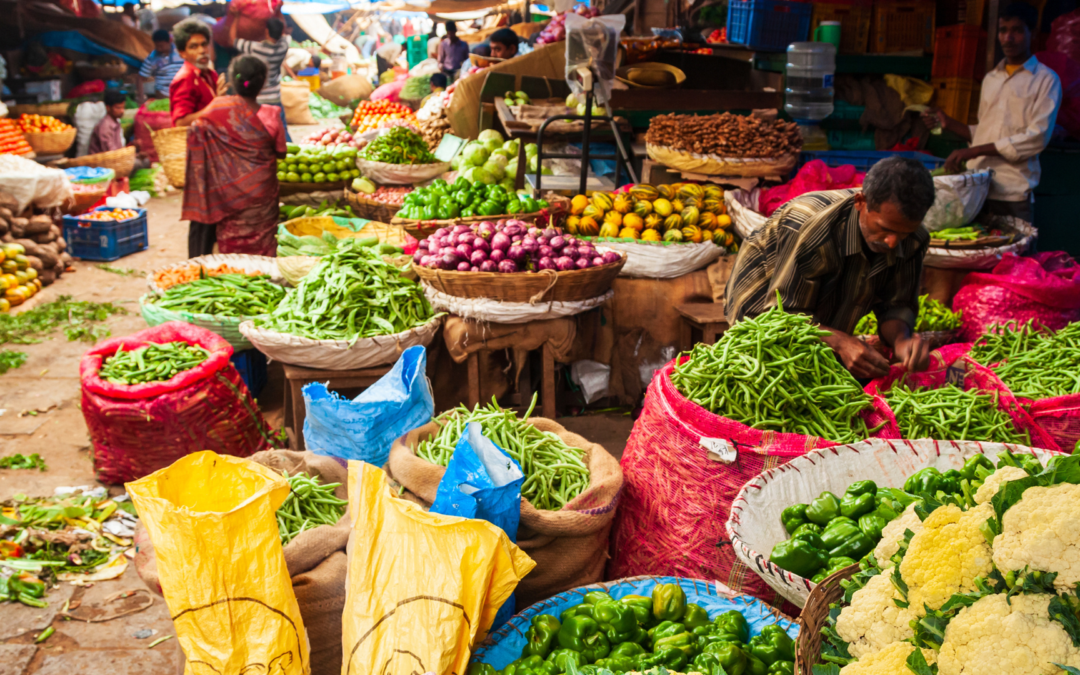 Rethinking Food Systems for Planetary Health in South Asia