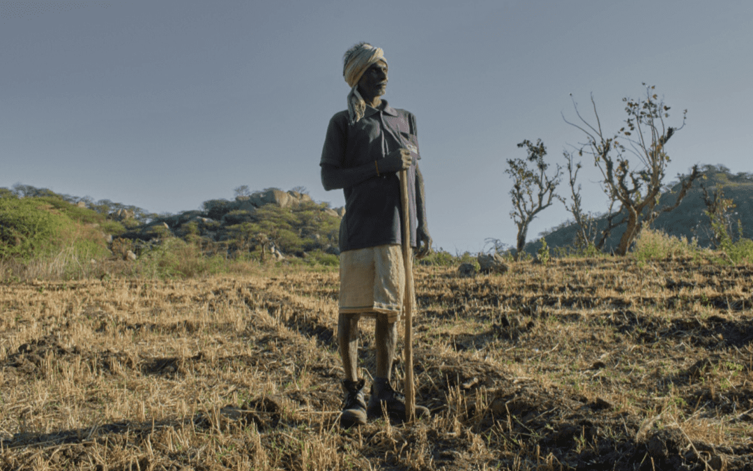 Climateverse: Data-Driven Responses to Climate Change in South Asia